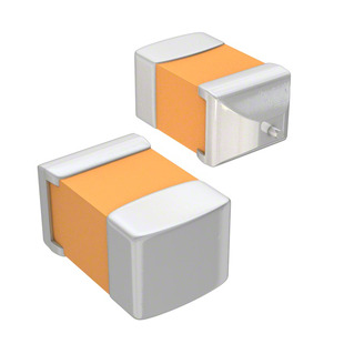 F951C106MSAAQ2 Image