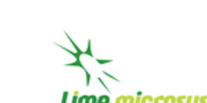 Lime Microsystems